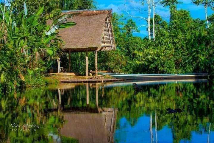 Misahualli Laguna Paikawe B&B Exteriér fotografie