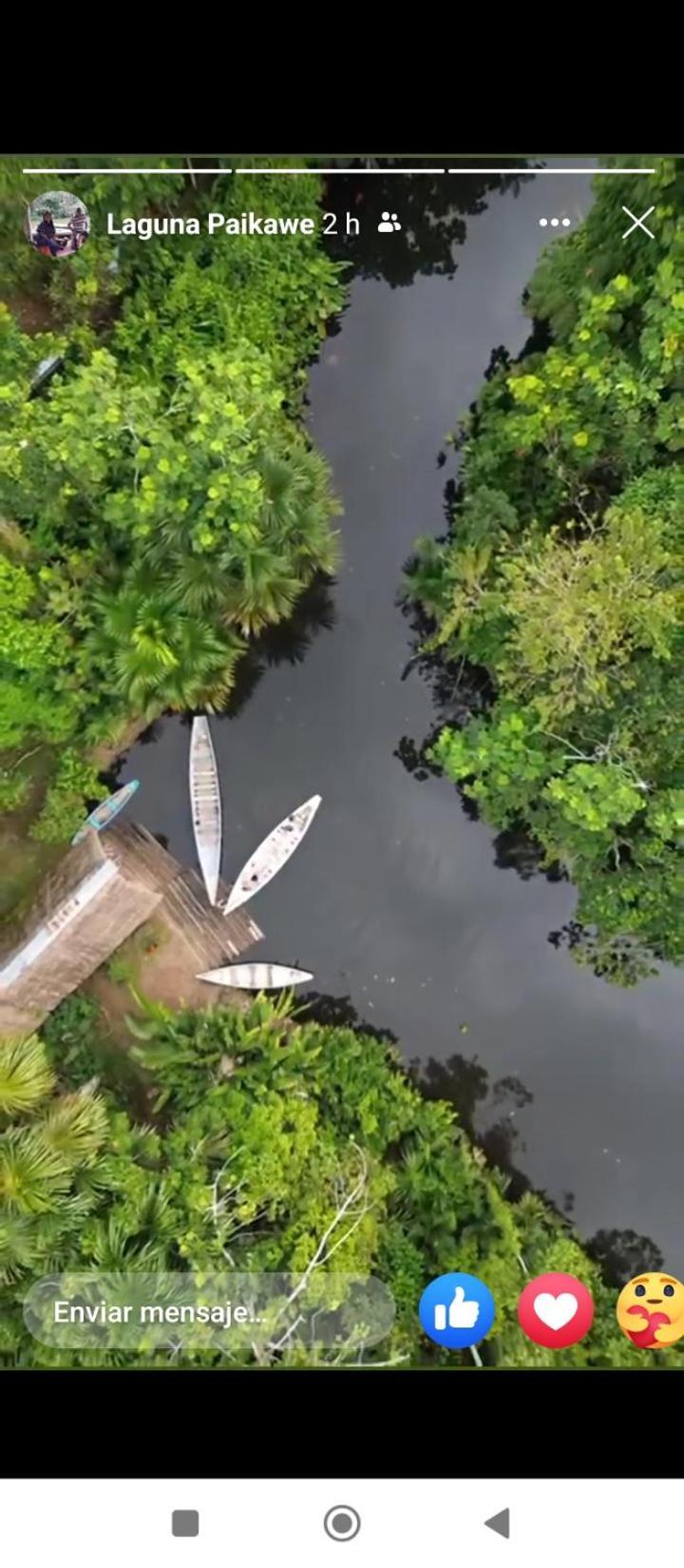 Misahualli Laguna Paikawe B&B Exteriér fotografie