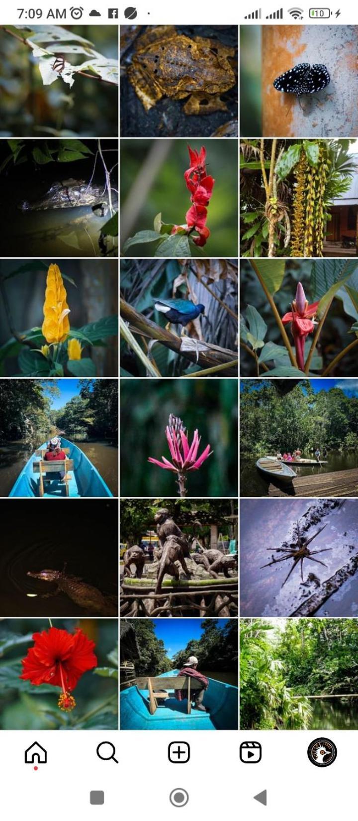 Misahualli Laguna Paikawe B&B Exteriér fotografie