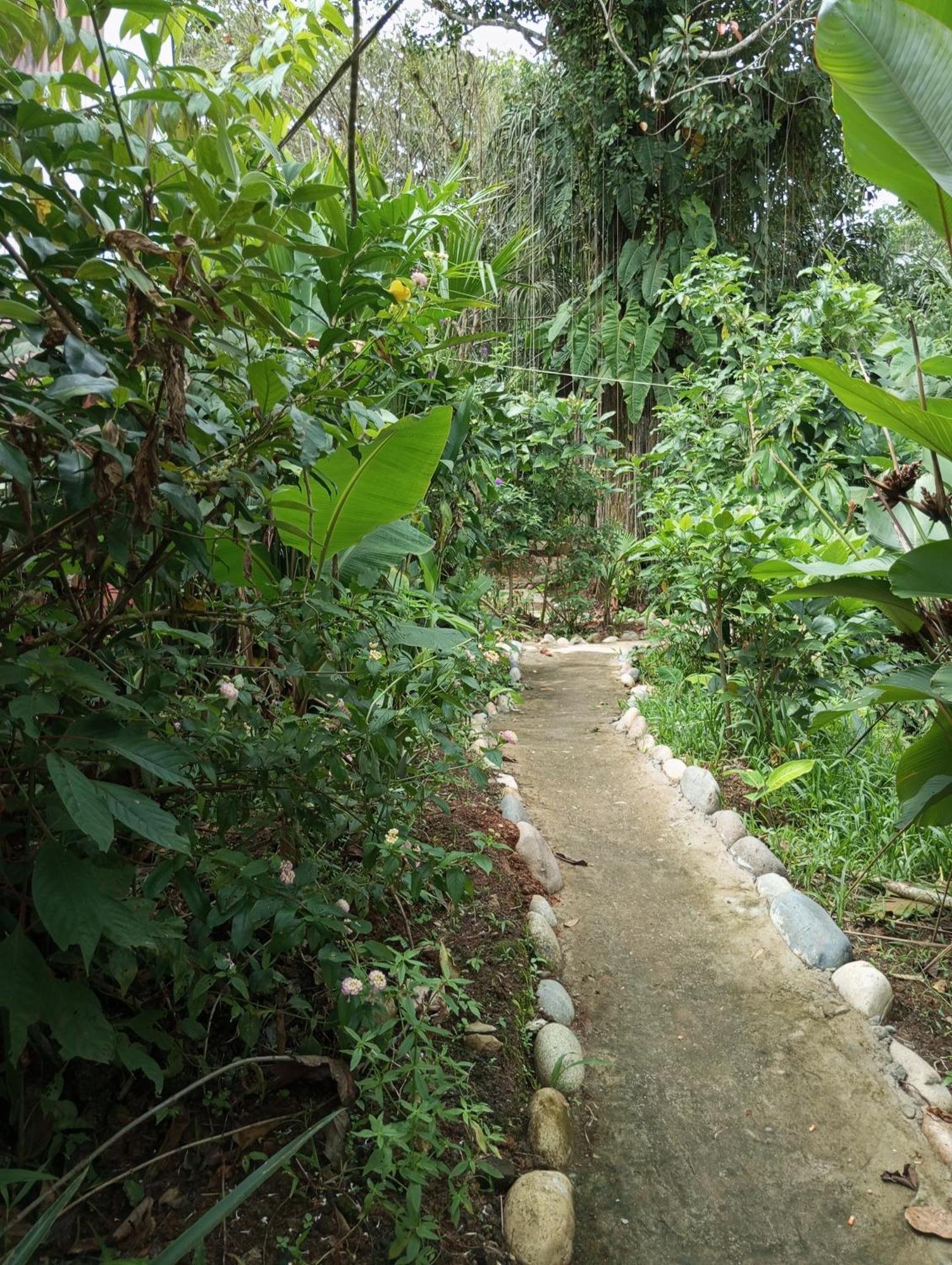 Misahualli Laguna Paikawe B&B Exteriér fotografie