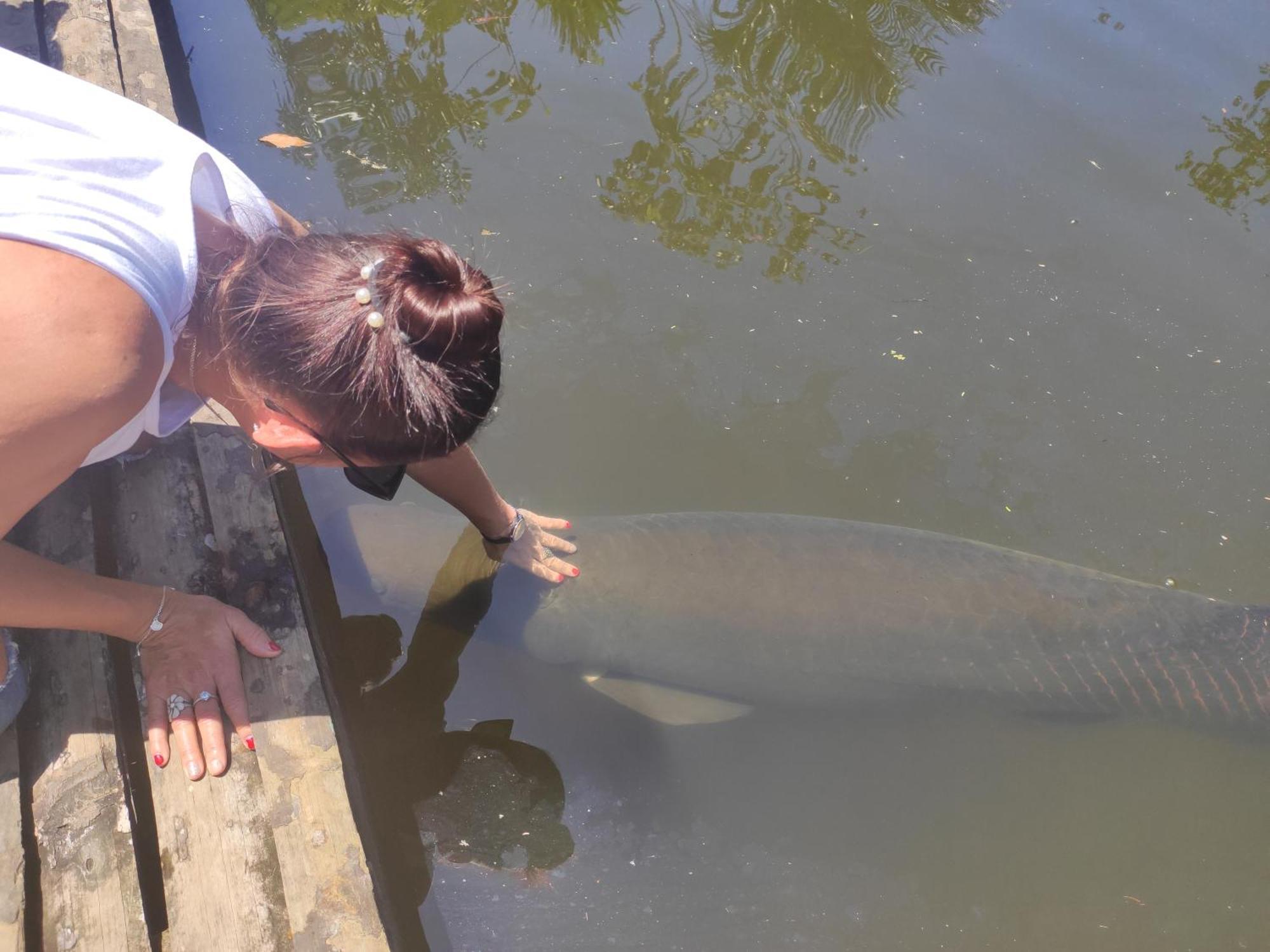 Misahualli Laguna Paikawe B&B Pokoj fotografie