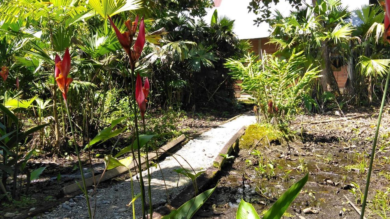Misahualli Laguna Paikawe B&B Exteriér fotografie