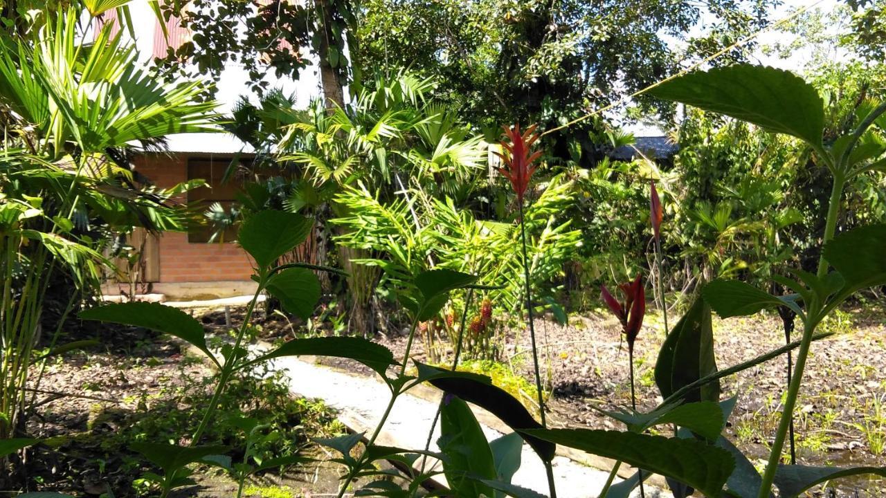 Misahualli Laguna Paikawe B&B Exteriér fotografie